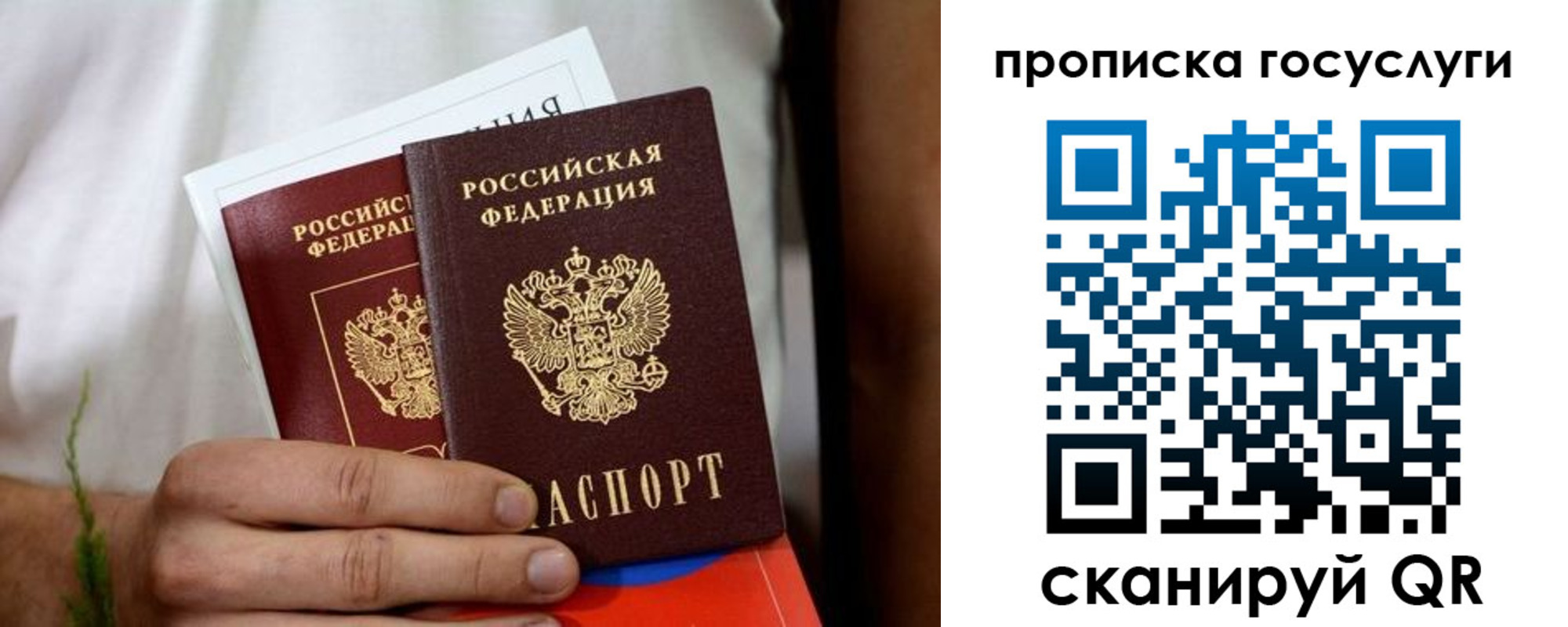 прописка регистрация в Павловске